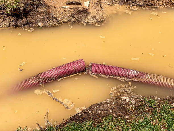 Best Mold removal after water damage  in Pleasant Hill, IA